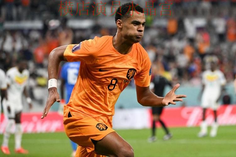 世界杯投注平台荷兰比赛盘口变化怎么读